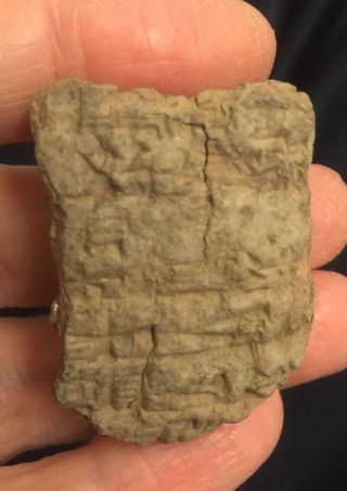 Ancient Near East.  Cuneiform Clay Tablet Fragment - Circa 2000 B.  C. photo
