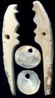 Pre - Columbian Panama Cocle Shell Monkey/bird Effigies (800 - 1200ad) The Americas photo 1