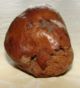 Egyptian Fossilized Fruit ? Egyptian photo 2