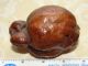 Egyptian Fossilized Fruit ? Egyptian photo 5