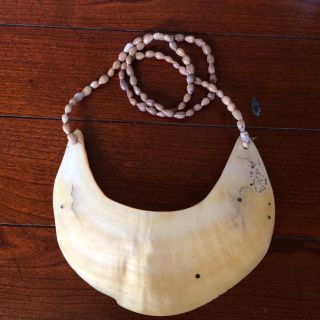 Papua Guinea - Kina Shell And Seed Pod Beaded Necklace photo