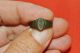 Tudor Engraved Ring - Circa 1550 Ad British photo 4