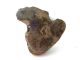 Large Bone Roman Applique Of A Man Circa 1st - 4th Century Ad British photo 1