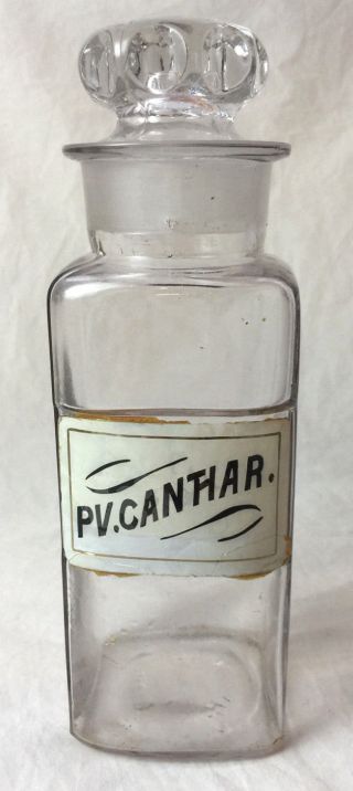 Pv.  Canthar 1894 Apothecary Glass Bottle Jar Pharmaceutical F&s St Louis photo