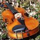 Fine Antique Czech Violin By Josef Lidl,  After Ruggeri.  Quality Build & Tone String photo 9