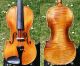 Fine Antique Czech Violin By Josef Lidl,  After Ruggeri.  Quality Build & Tone String photo 4