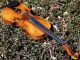Fine Antique Czech Violin By Josef Lidl,  After Ruggeri.  Quality Build & Tone String photo 5