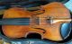 A Old Violin Laurentius Storioni 1791 String photo 3