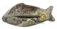 Scarce Authentic Roman Bronze Fish Brooch - Enamleed - Incl.  - W21 Roman photo 4