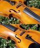 Vintage Czech Violin - S.  Brazda,  Plzen.  & Sound String photo 9