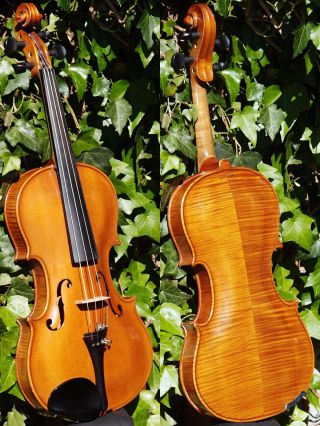 Vintage Czech Violin - S.  Brazda,  Plzen.  & Sound photo