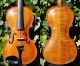 Vintage Czech Violin - S.  Brazda,  Plzen.  & Sound String photo 1