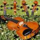 Vintage Czech Violin - S.  Brazda,  Plzen.  & Sound String photo 8