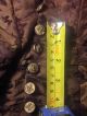 Late 1800s Victorian Bodice For Study Only Exquisite Buttons Vintage Buttons photo 9