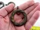 (7) Antique Vintage Twisted Wrought Iron Tudor Art Deco Curtain Rod Rings Metalware photo 3