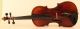 Old Violin Labeled Ventapane Geige Violon Violine Violino Viola Italian Ca.  1830 String photo 1