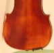 Old Violin Labeled Pistucci Anno 1905 Geige Violon Violino Viola Violine Italian String photo 9