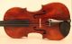 Old Violin Labeled Pistucci Anno 1905 Geige Violon Violino Viola Violine Italian String photo 2