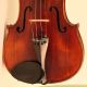 Old Violin Labeled Pistucci Anno 1905 Geige Violon Violino Viola Violine Italian String photo 3