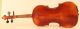 Old Violin Labeled Pistucci Anno 1905 Geige Violon Violino Viola Violine Italian String photo 7