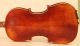 Old Violin Labeled Pistucci Anno 1905 Geige Violon Violino Viola Violine Italian String photo 8