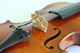 . Fine Violin School Of N.  Lupot Geige Violon Violine Violino Viola Fiddle photo