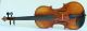 . Fine Violin School Of N.  Lupot Geige Violon Violine Violino Viola Fiddle String photo 5