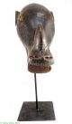 Guro Rhino Mask Custom Stand Cote D ' Ivoire Africa Was $590 Masks photo 1