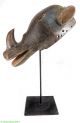 Guro Rhino Mask Custom Stand Cote D ' Ivoire Africa Was $590 Masks photo 2