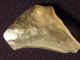 A Big Prehistoric Tool Made From Libyan Desert Glass Found In Egypt 15.  5g Neolithic & Paleolithic photo 9