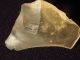 A Big Prehistoric Tool Made From Libyan Desert Glass Found In Egypt 15.  5g Neolithic & Paleolithic photo 2