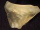 A Big Prehistoric Tool Made From Libyan Desert Glass Found In Egypt 15.  5g Neolithic & Paleolithic photo 3