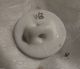 Antique Hand Painted Porcelain/china Button Rose Cobalt Sweet Buttons photo 2