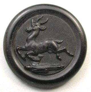 Antique Molded Horn Button Running Antelope Design photo