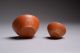 A Ancient Roman Terracotta Red Slip Samian Ware Bowls - 150 Ad Roman photo 4