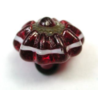 Antique Charmstring Button Cranberry W Ome Brass Ring & White Band Accent Sw Bk photo