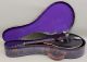 Classic Antique 1914,  The Gibson,  Model A,  Arch Back 8 - String Mandolin,  Nr String photo 1