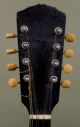 Classic Antique 1914,  The Gibson,  Model A,  Arch Back 8 - String Mandolin,  Nr String photo 3