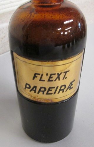 Antique Amber Glass Apothecary Bottle W\porcelain Label Fl ' Ext Pareirae 12 photo