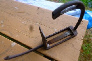 Rare Stirrup 1800,  - Iron Forged Hinged Horse Signed Bagh ? Opens. photo
