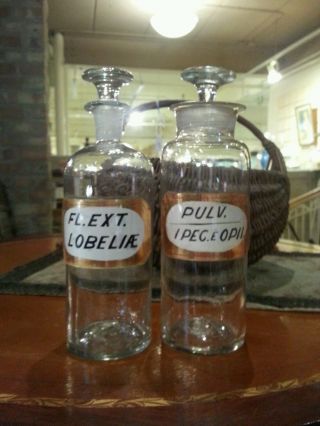Vintage Antique Apothecary Bottles W/ Label Under Glass photo