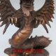 Rare Chinese Bronze Pterosaur Dragon Statue Other Antique Chinese Statues photo 8