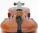 Rare Antique Joannes Baptista Guadagnini Labeled 4/4 Old Master Violin String photo 4