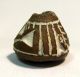 Pre - Columbian Large Brown Animal On Its Back Bead.  Guaranteed Authentic. The Americas photo 1
