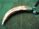 Necklace Fang Tibet Himalaya Powerful Protection Tibetan Buddhist Thai Amulet Amulets photo 4