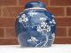 19th Century Chinese Blue And White Prunus Ginger Jar Vases photo 9