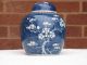 19th Century Chinese Blue And White Prunus Ginger Jar Vases photo 5