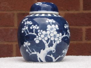 19th Century Chinese Blue And White Prunus Jar photo