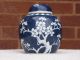 19th Century Chinese Blue And White Prunus Jar Vases photo 4