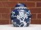 19th Century Chinese Blue And White Prunus Jar Vases photo 8